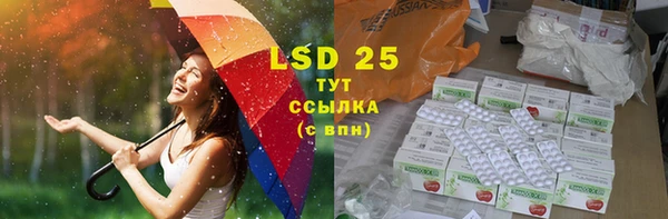 прущие грибы Богородск
