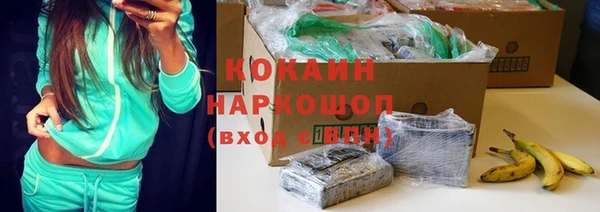 ПСИЛОЦИБИНОВЫЕ ГРИБЫ Чекалин