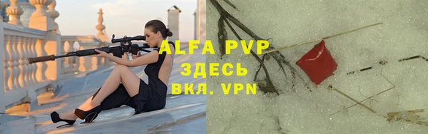 прущие грибы Богородск