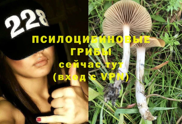 спайс Богданович