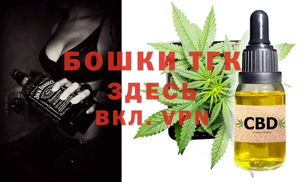 спайс Богданович