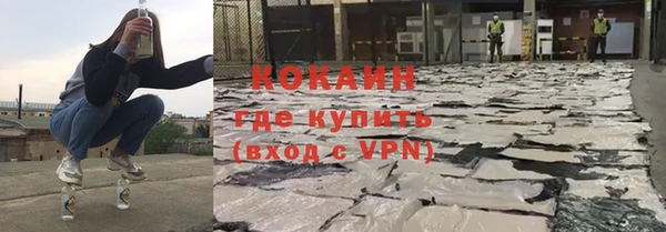 спайс Богданович